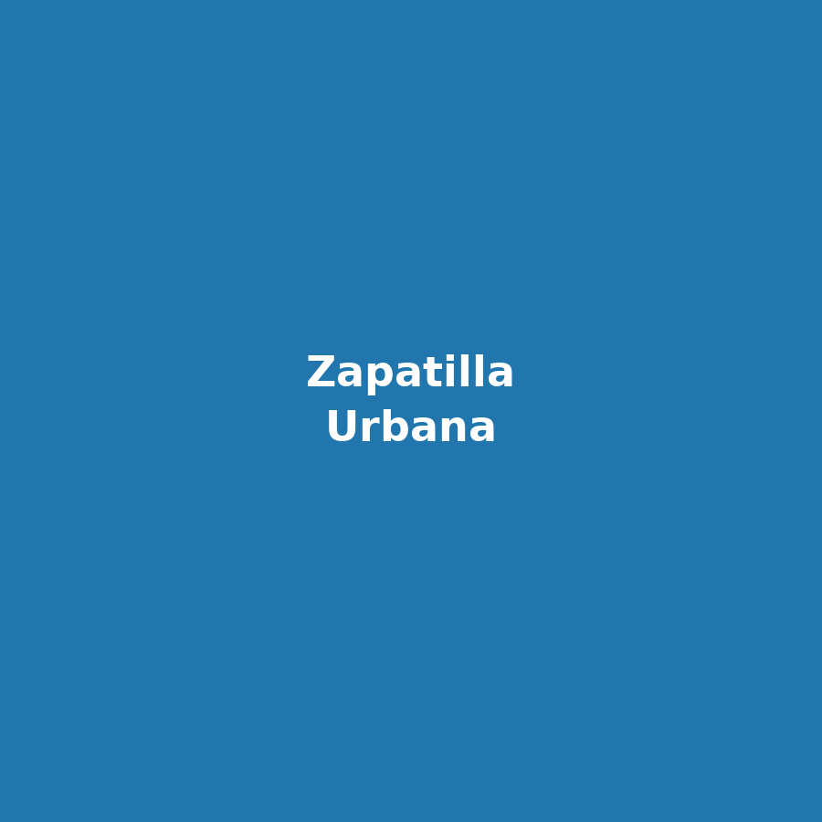 Zapatilla Urbana