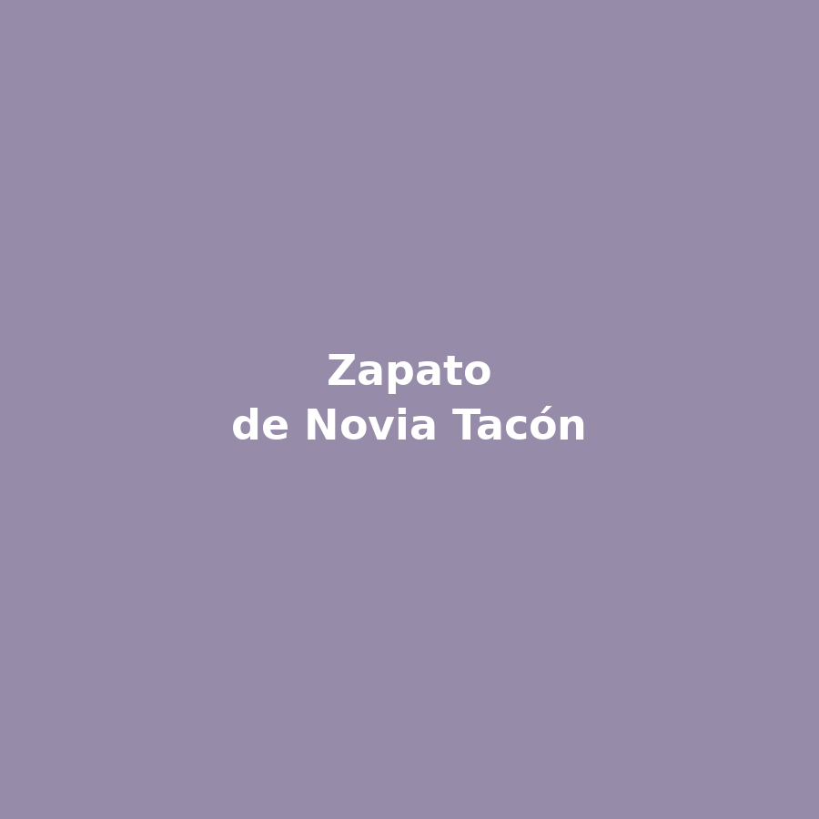 Zapato de Novia Tacón